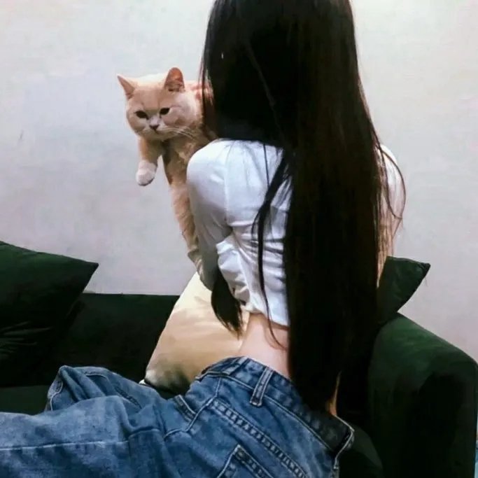 红色天网